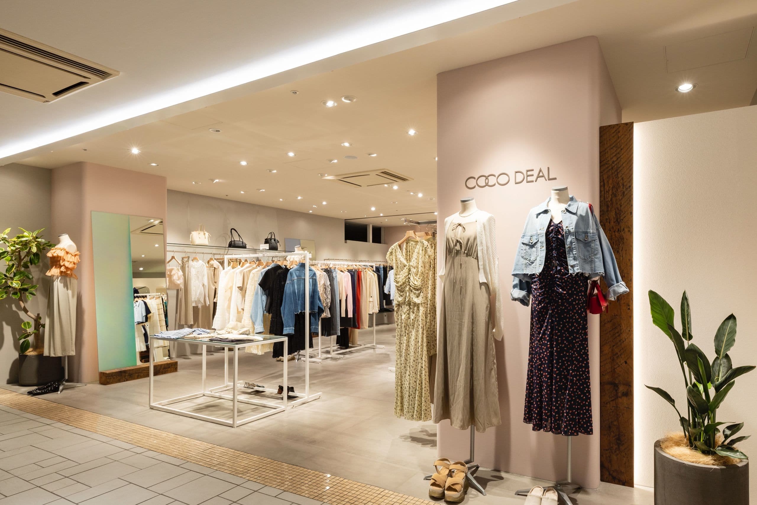 cocodeal_001_20250711143659591.jpg